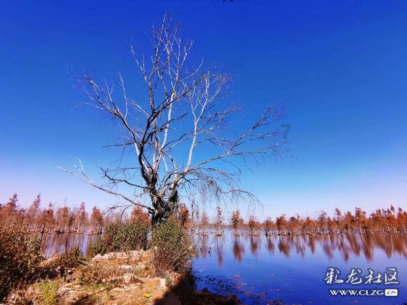 保时捷发动机护板有声音什么原因?-有问必答平台官网